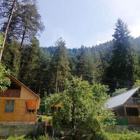 Guest House Ilia Borjomi Exterior foto