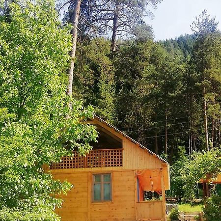 Guest House Ilia Borjomi Exterior foto