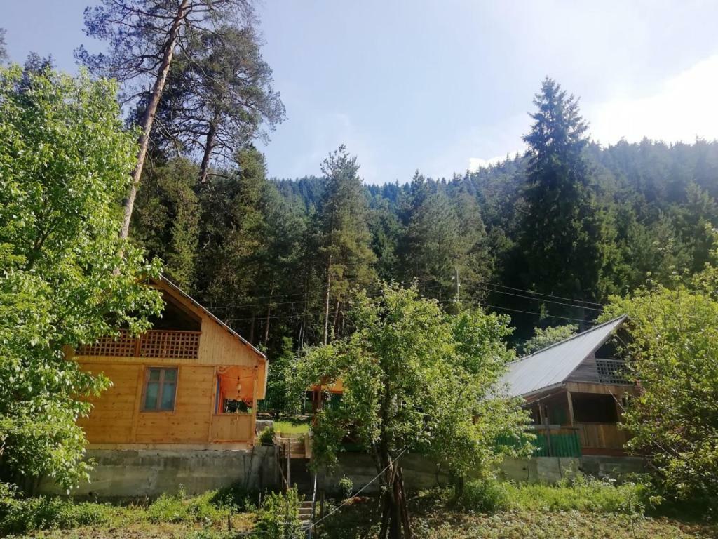 Guest House Ilia Borjomi Exterior foto