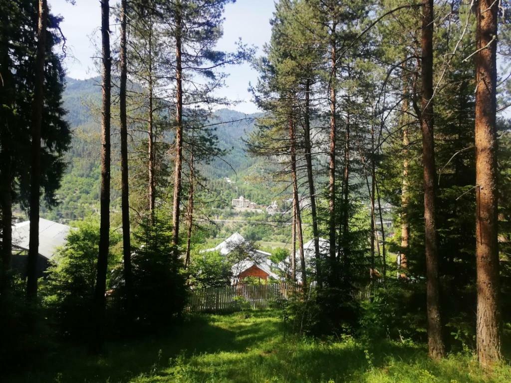 Guest House Ilia Borjomi Exterior foto