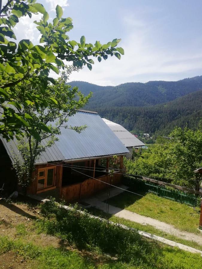 Guest House Ilia Borjomi Exterior foto