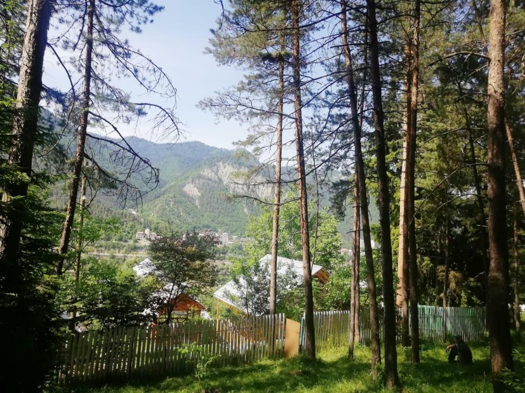 Guest House Ilia Borjomi Exterior foto