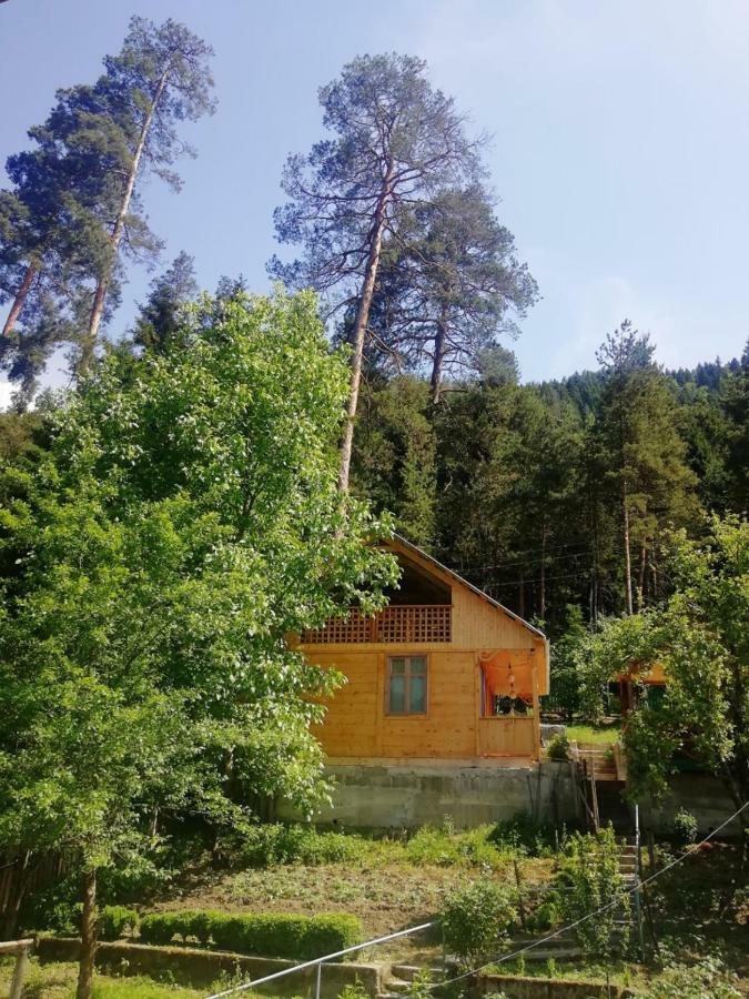 Guest House Ilia Borjomi Exterior foto