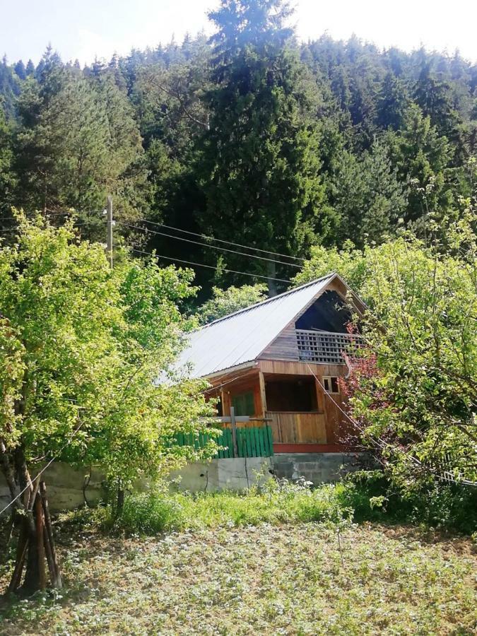 Guest House Ilia Borjomi Exterior foto