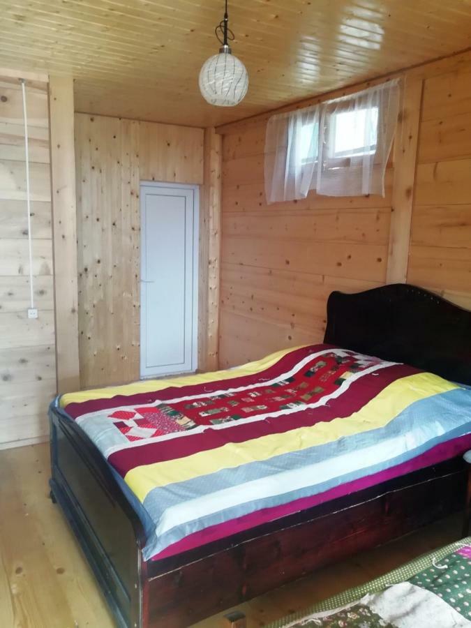 Guest House Ilia Borjomi Exterior foto