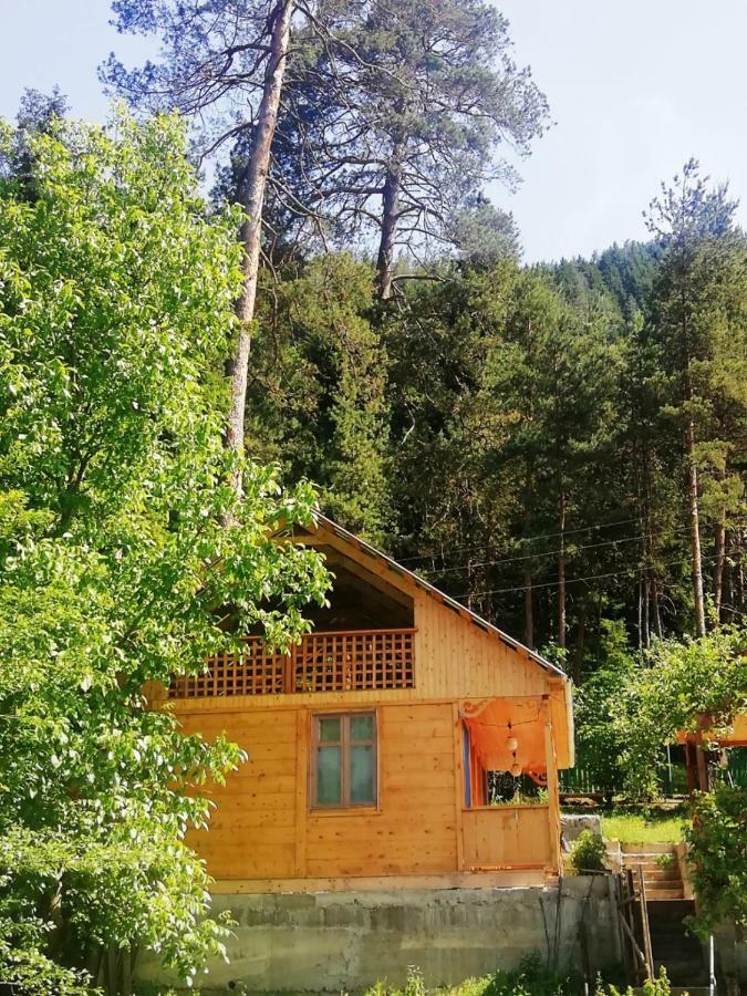 Guest House Ilia Borjomi Exterior foto